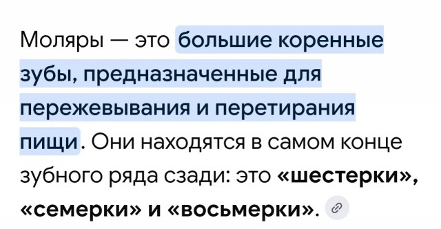 Нашёл камень, похожий на моляр мамонта