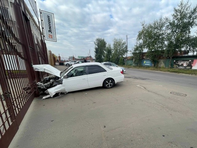 Если бы не ели, то столб бетонный успокоил навсегда.