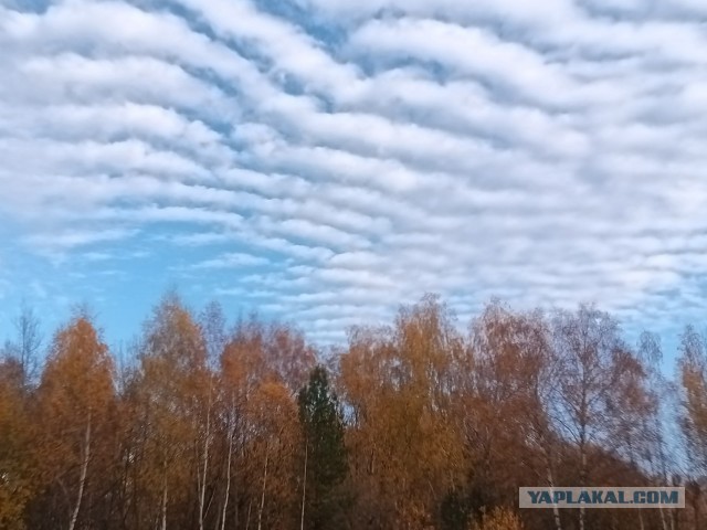 Осеннее небо
