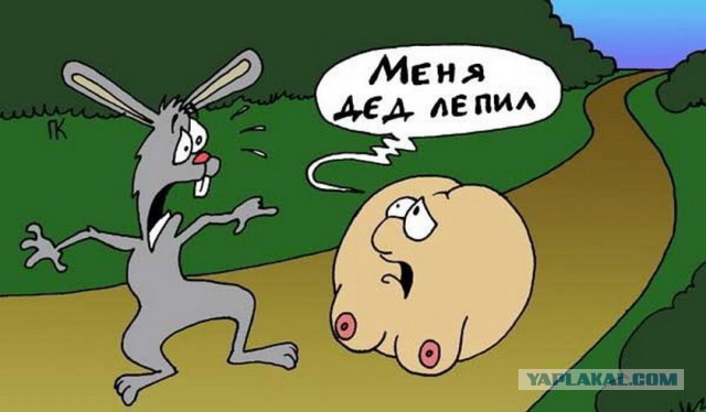 Власти заблокировали ЯП!