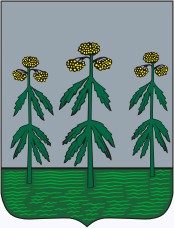 Гербы и флаги городов.