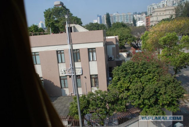 Поездка в Гонг-Конг
