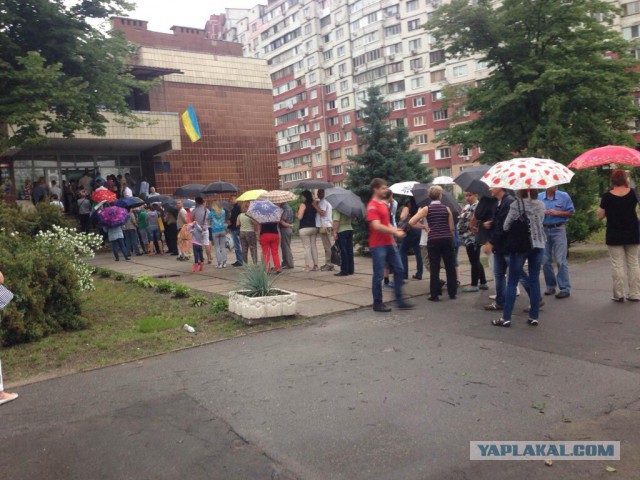 Выборы в Украине. Самые честные!