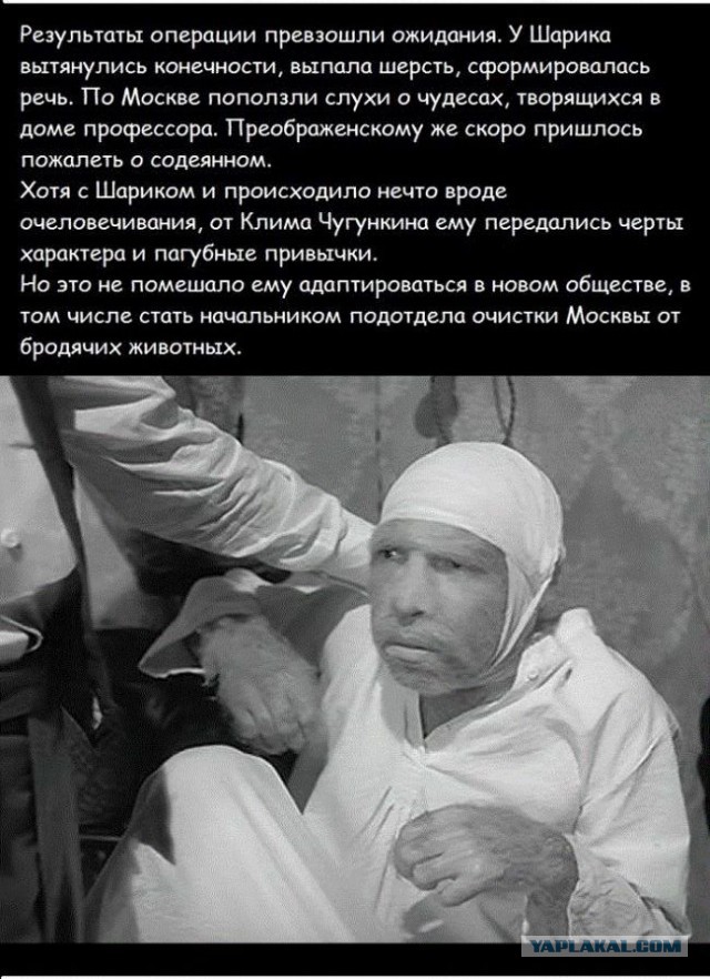 20 фактов обо всем