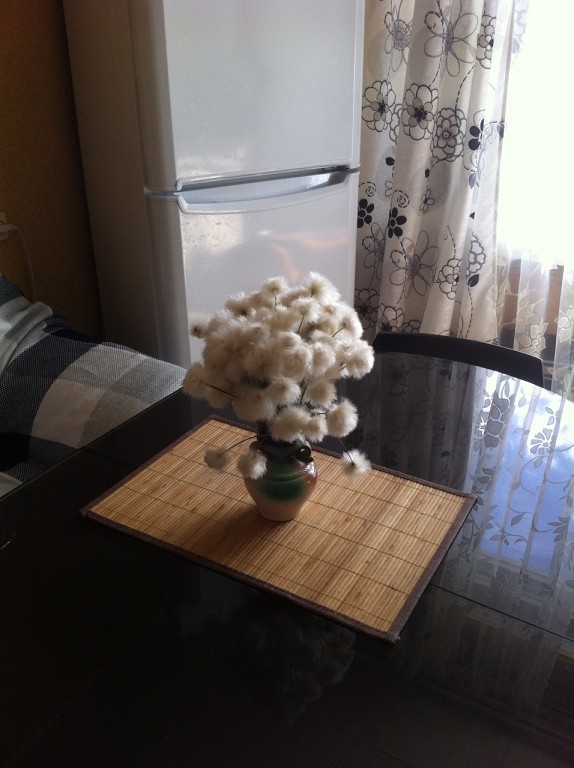 Небольшая подборка про Дудинку