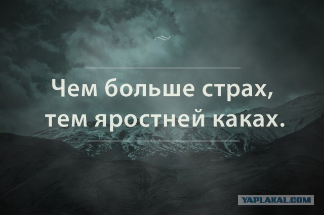 Просто картинки