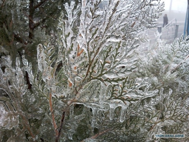 Ледяная зима