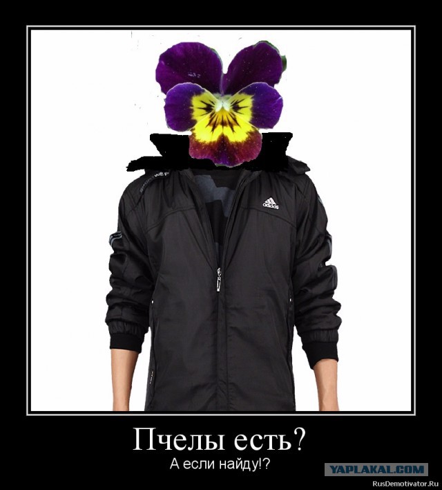 Вы хотите "демов"?