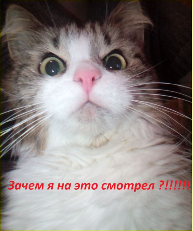 Ужасные и смешные фото из соц.сетей