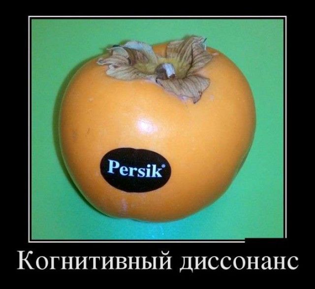 Подборка прикольных фото на пятницу