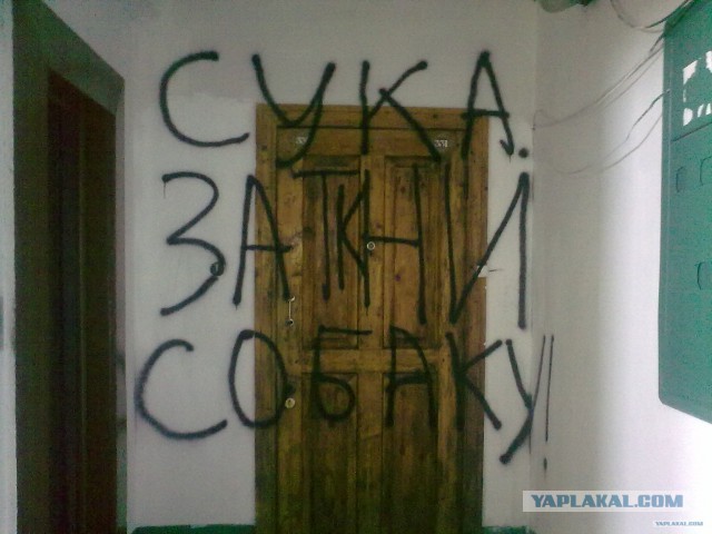 Лифт чат моих соседей