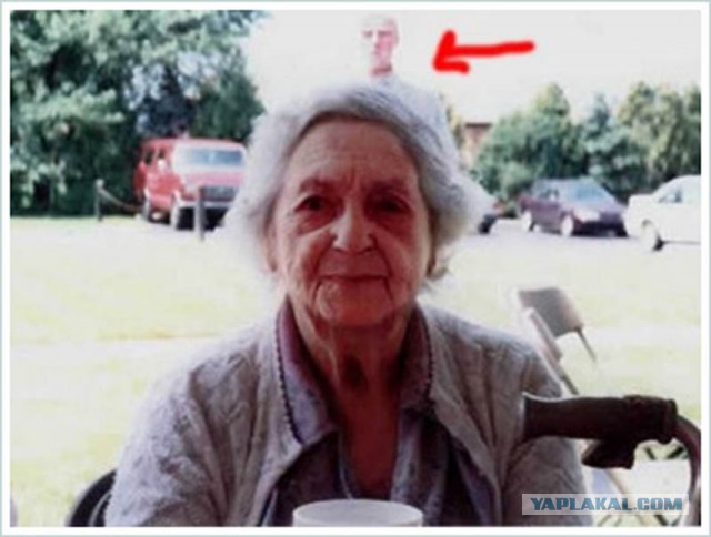 19 фотографий, где фон намного интересней переднего плана