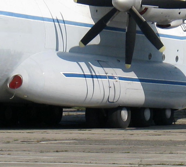Великаны тоже умеют летать: почему Ан-22 так важен для ВКС РФ?