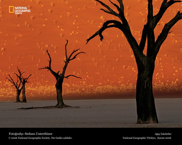 Лучшие фотографии National Geographic