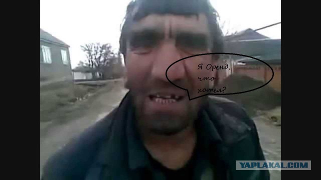 Еще одна история про начальников