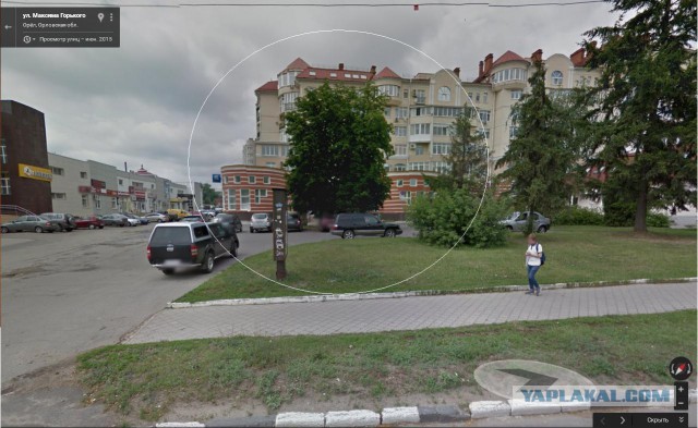 В Саратове в лесу деревья обложили солью