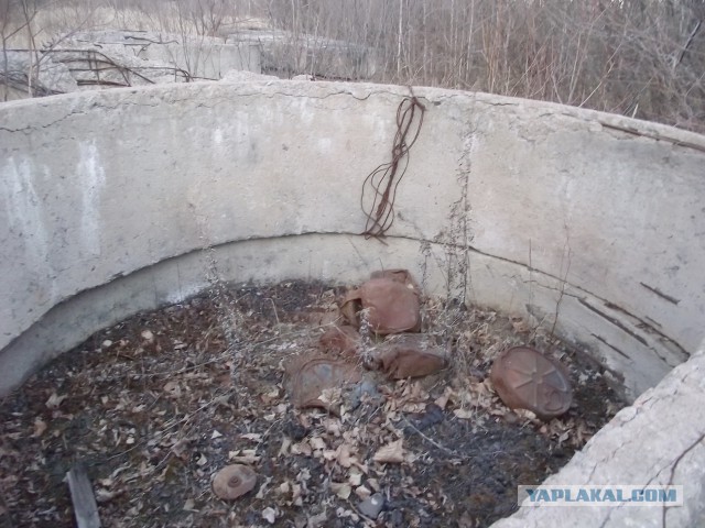 Дальневосточный гектар.  3-я  попытка.