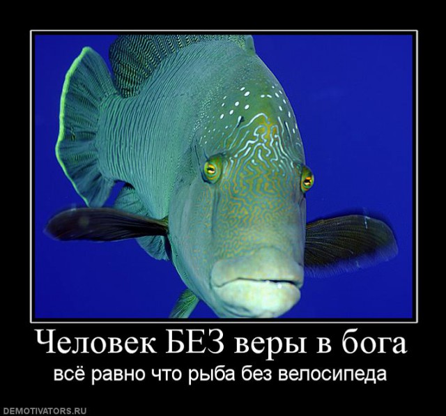 Верующие, атеисты и ...