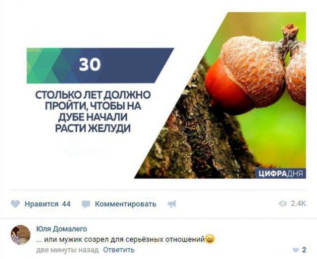 Ужасы и приколы из соцсетей 18+