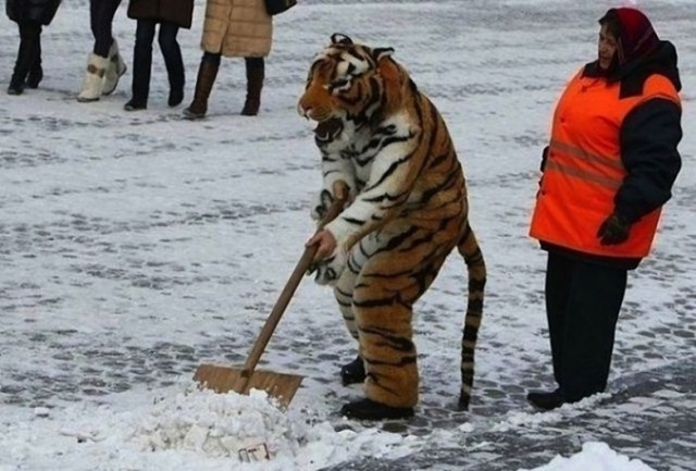 Загнивающий запад, вся правда 18+