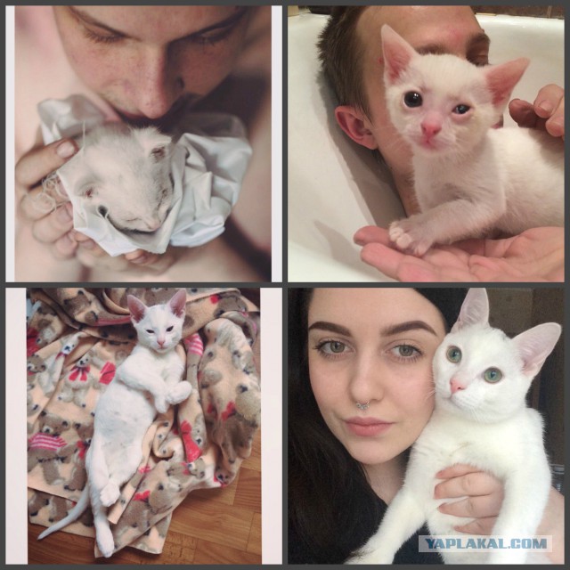 Он лежал возле гаражей в 2-х метрах от мусорного бака...