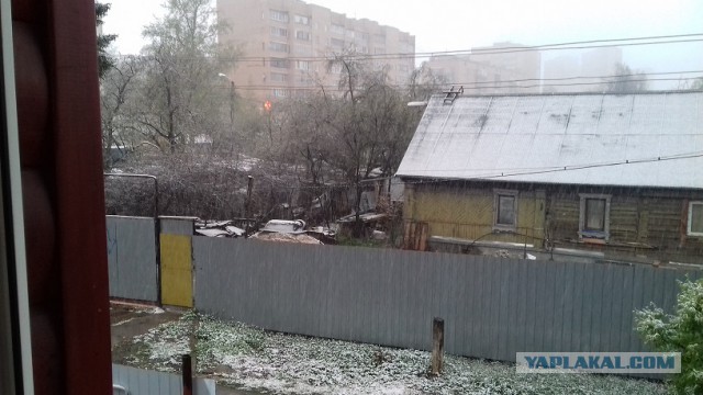 Голицыно, Подмосковье. 100-е февраля.