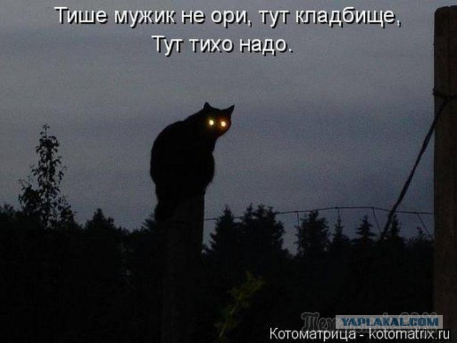 Подборка интересных и веселых картинок
