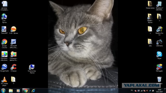 Бунт на корабле