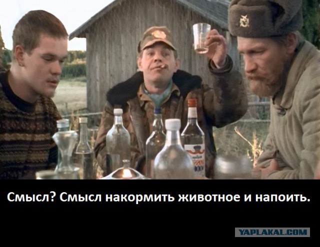 Случай, который сломал заядлого охотника и превратил его в защитника животных
