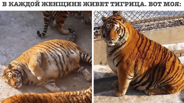 Шатается козырёк