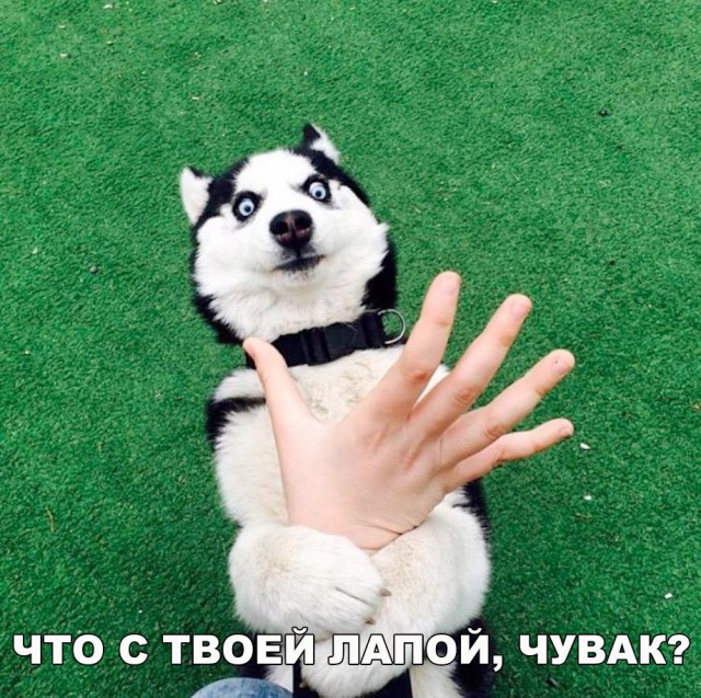 Нестандартный юмор