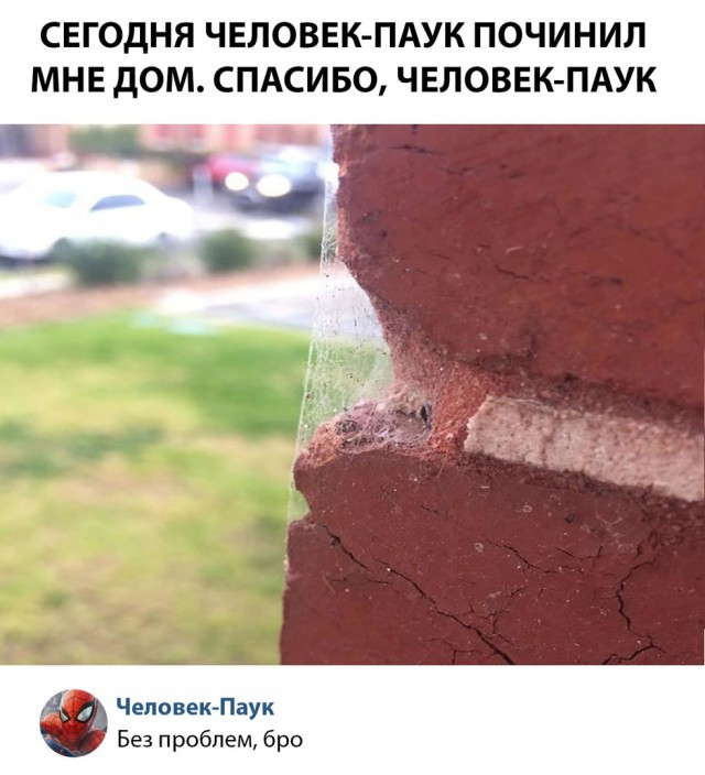 Немного картинок в это воскресенье