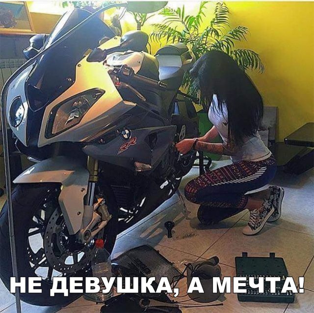 Прикольные картинки обо всем