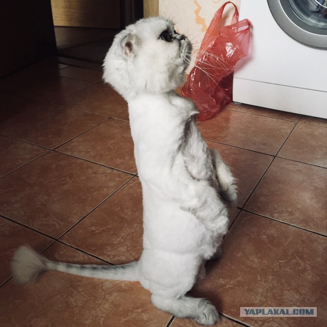 Я, кажется, перешел черту