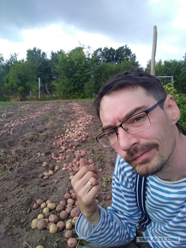 Началось! Картофельная лихорадка стартовала в Беларуси