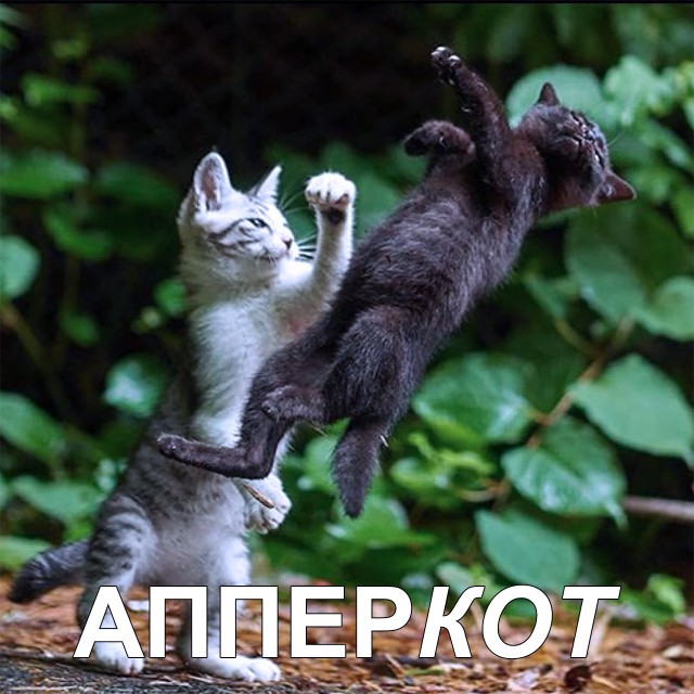 Немного милоты