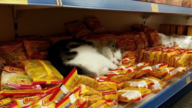 Немного милоты