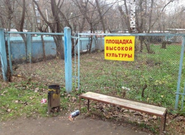 Немного картинок в этот тяжёлый день