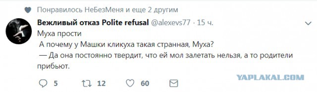 Прикольные комментарии и высказывания из Сети 23. 01.