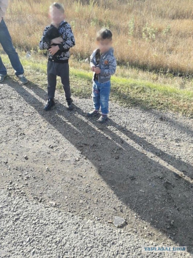 В Алтайском крае два цыганёнка угнали у отца машину, чтобы съездить к брату на район