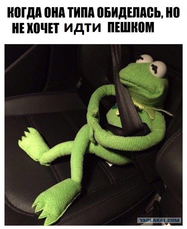 Чудеса рядом