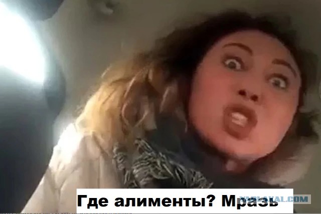 Где алименты, скотина?