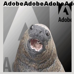 Фотожаба: Новое лицо компании Adobe