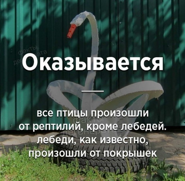 Юмор в картинках 17.08.20