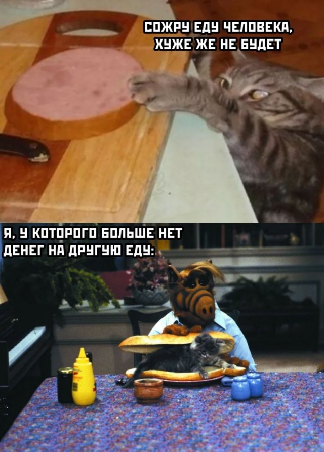 Немного картинок для настроения 28.10.20