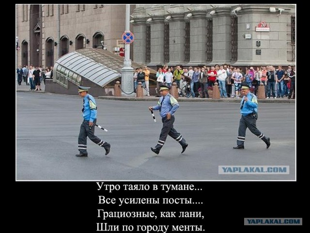 Гуляния в РБ 15.06: Фото и фотожабы
