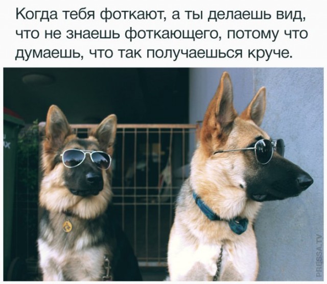 Картинки и мемы для настроения 011