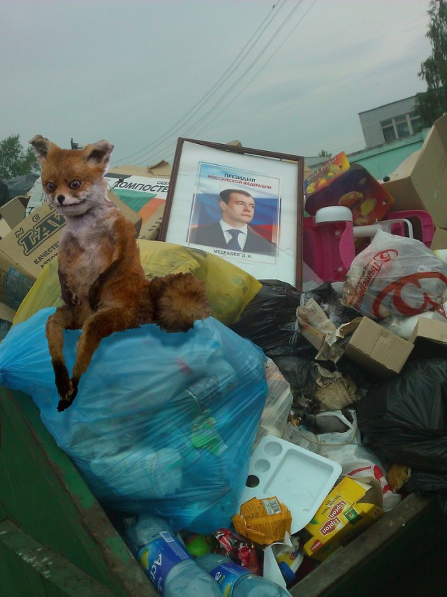 Таксидермия + наркомания