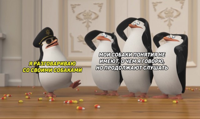 Картинки 12.02.21