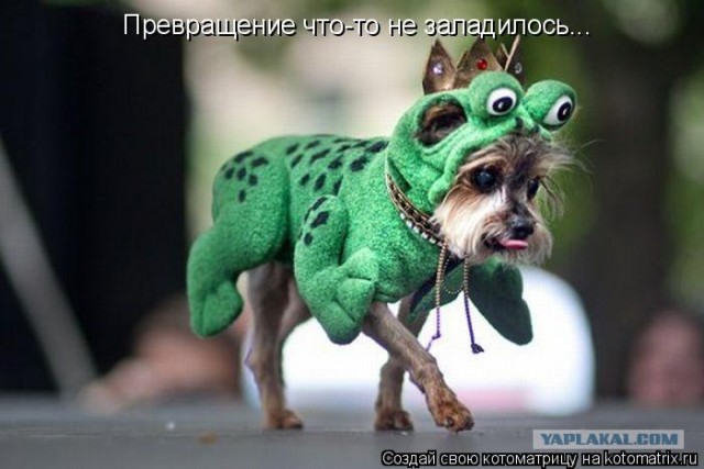 Какой-то лев подозрительный...